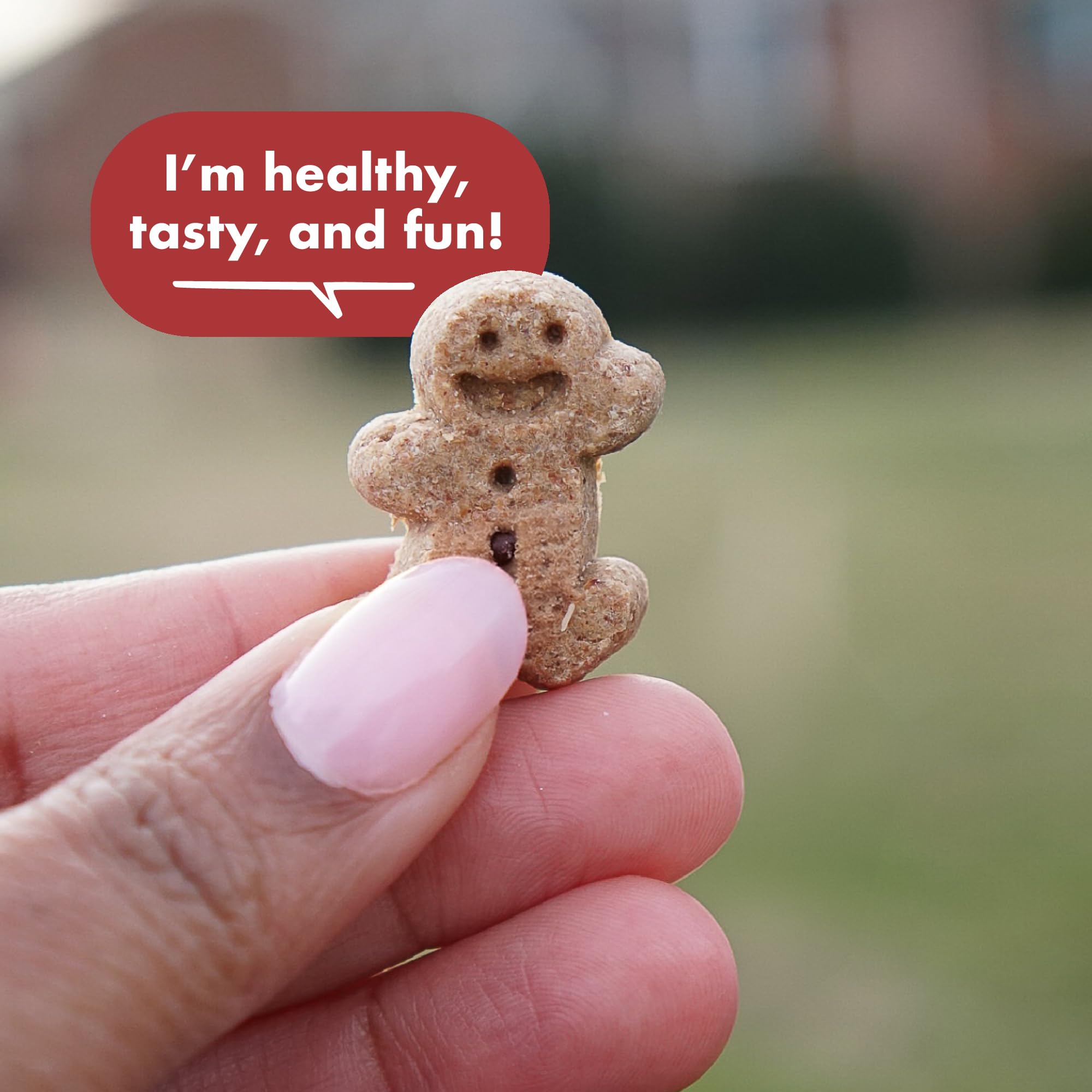 **Buddy Biscuits Softies Grain-Free Dog Treats - 5 oz Pouch, Natural Grilled Beef Flavor, Soft & Chewy, Oven Baked in USA - Perfect for Training, Rewards & Dental Health**