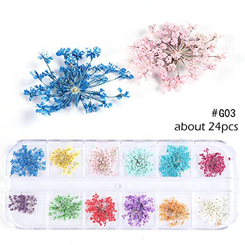 FASHION STORM® 3D Natural Dried Flowers Nail Art Decorations - Floral Leaf Stickers for Manicure & Nail Polish Designs | Perfect for DIY Nails, Bridal Parties, and Special Occasions