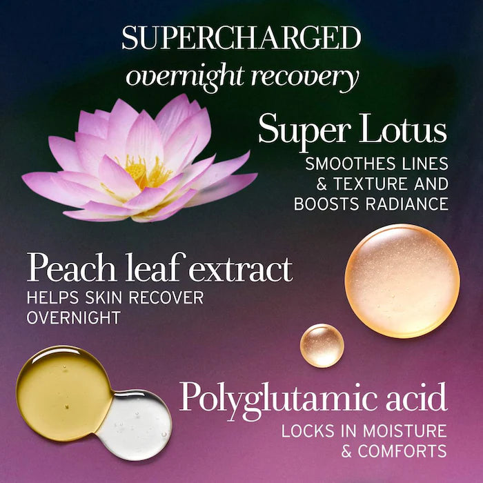 Lotus Youth Preserve Radiance Renewal Night Cream - Anti-Aging Face Cream for Women, Hydrating & Brightening Night Moisturizer with Natural Ingredients - Perfect for Dry Skin & Overnight Skin Repair