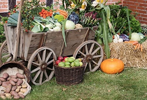 Yeele 15x10ft Autumn Harvest Festival Photography Backdrop - Fall Fruit & Vegetable Harvest Wood Cart Haystack Scene for Thanksgiving Party Decor, Photo Shoot Props | Perfect for Seasonal Events, Family Gatherings & Social Media Content Creation