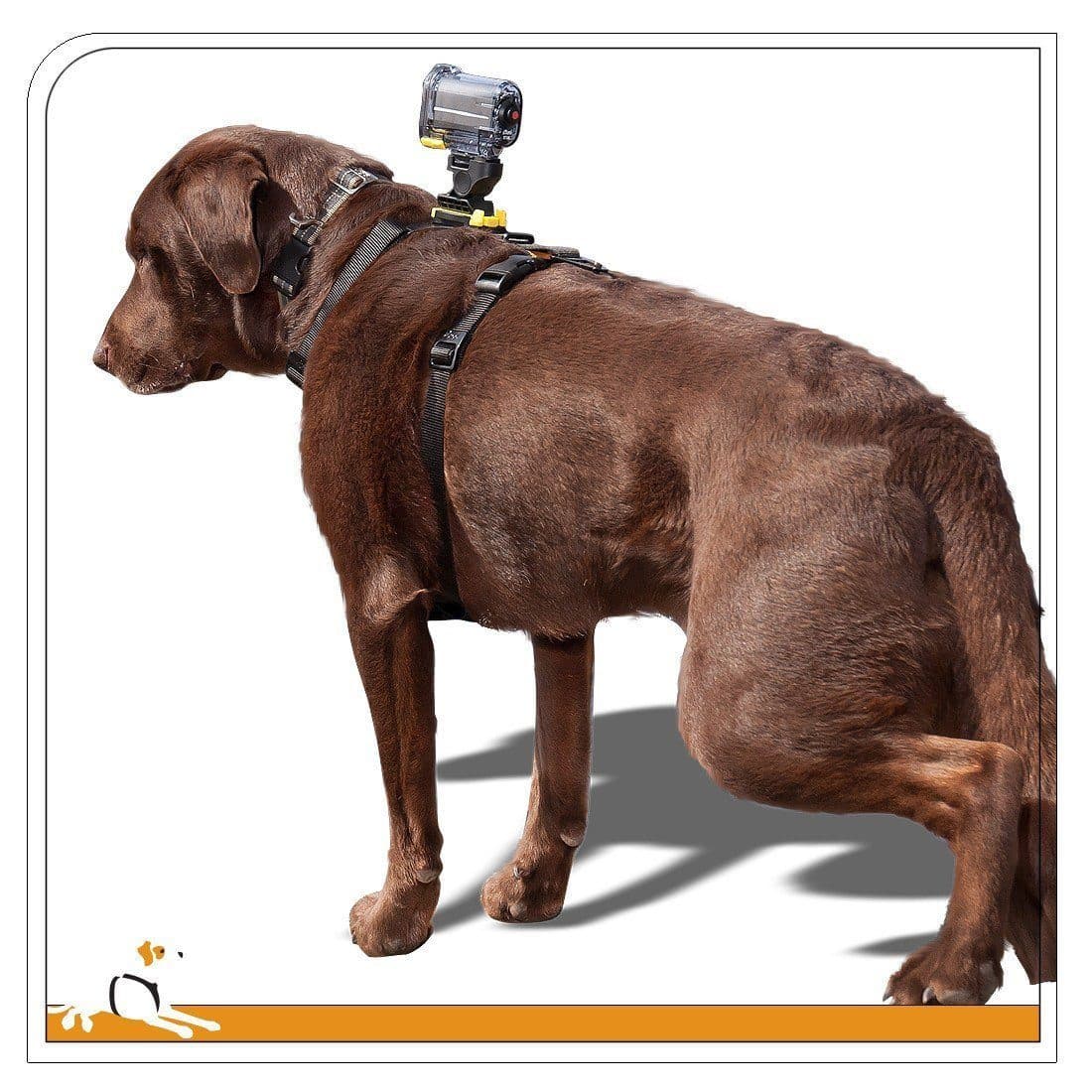 Tru Fit Adjustable Dog Harness with Camera Mount - Secure & Comfortable Pet Gear for Hiking, Running, and Outdoor Adventures