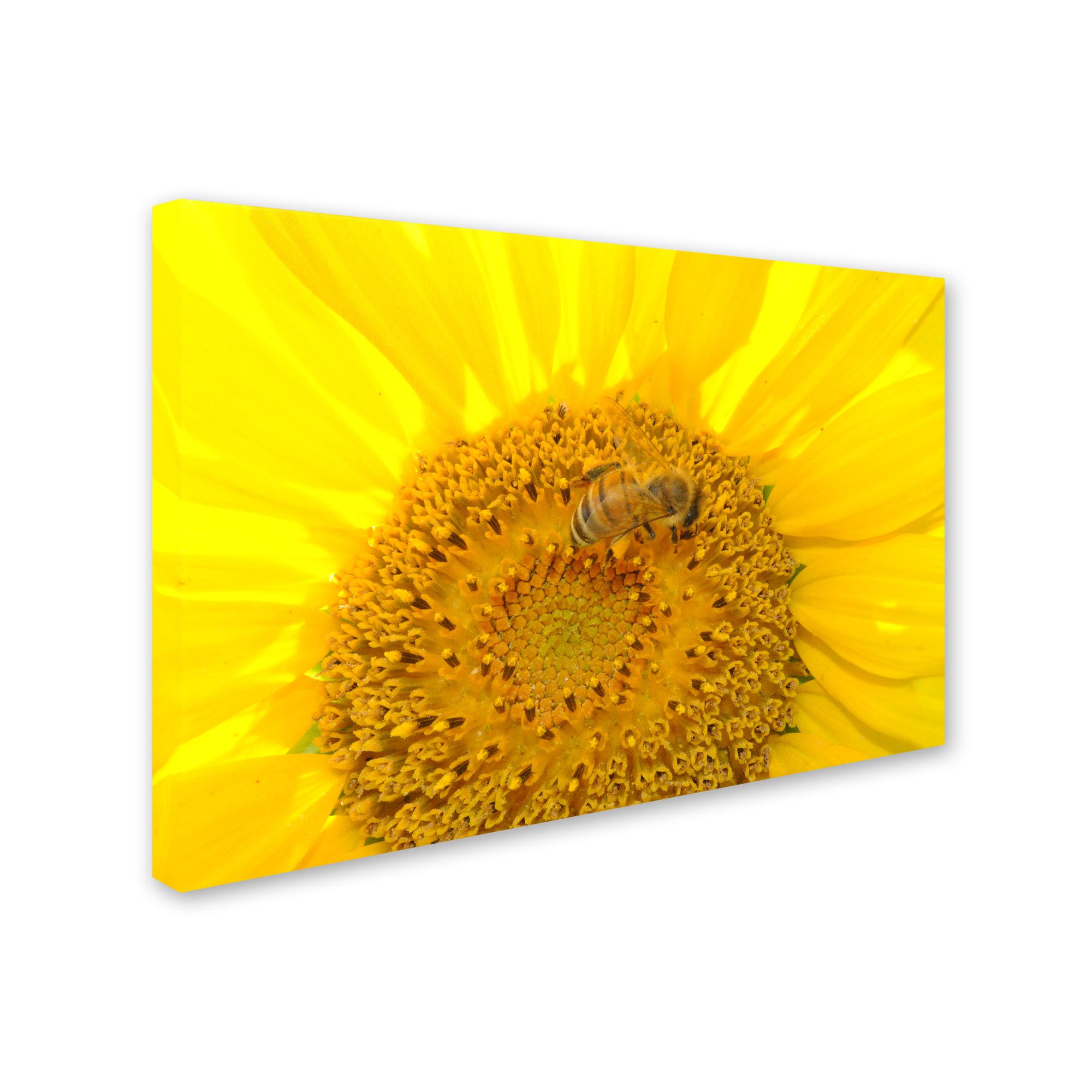 Monica Fleet 'Honey-Maker' Canvas Wall Art Print - 22x32 Inch Floral Bee Painting - Home & Office Decor, Living Room Bedroom Wall Decor
