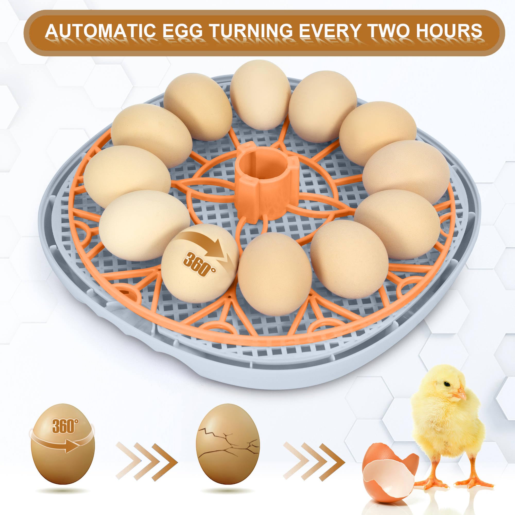 Automatic Smart Egg Incubator for Chicken Duck Quail - 12 Egg Capacity with Digital Temperature Control & Auto Turner | Perfect for Home Poultry Farming, Classroom Projects & Backyard Hatching (Mechachick, Fahrenheit)