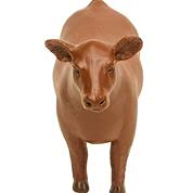 Little Buster Toys County Fair Livestock Show Set - Bull, Steer & Heifer Farm Animal Toy Bundle (Multi-Color) - Perfect for Farm-Themed Play, Educational Activities & Pretend Ranch Adventures
