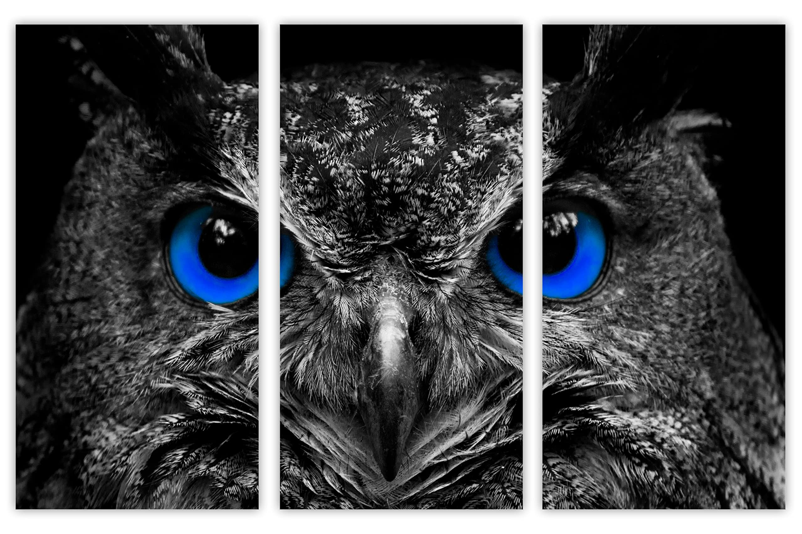 60 x 40 TOTAL - Dark Blue Eyed Owl Canvas Print Wall Art | 3 Panel Split Triptych | Bird Art Decor for Living Room, Bedroom & Office