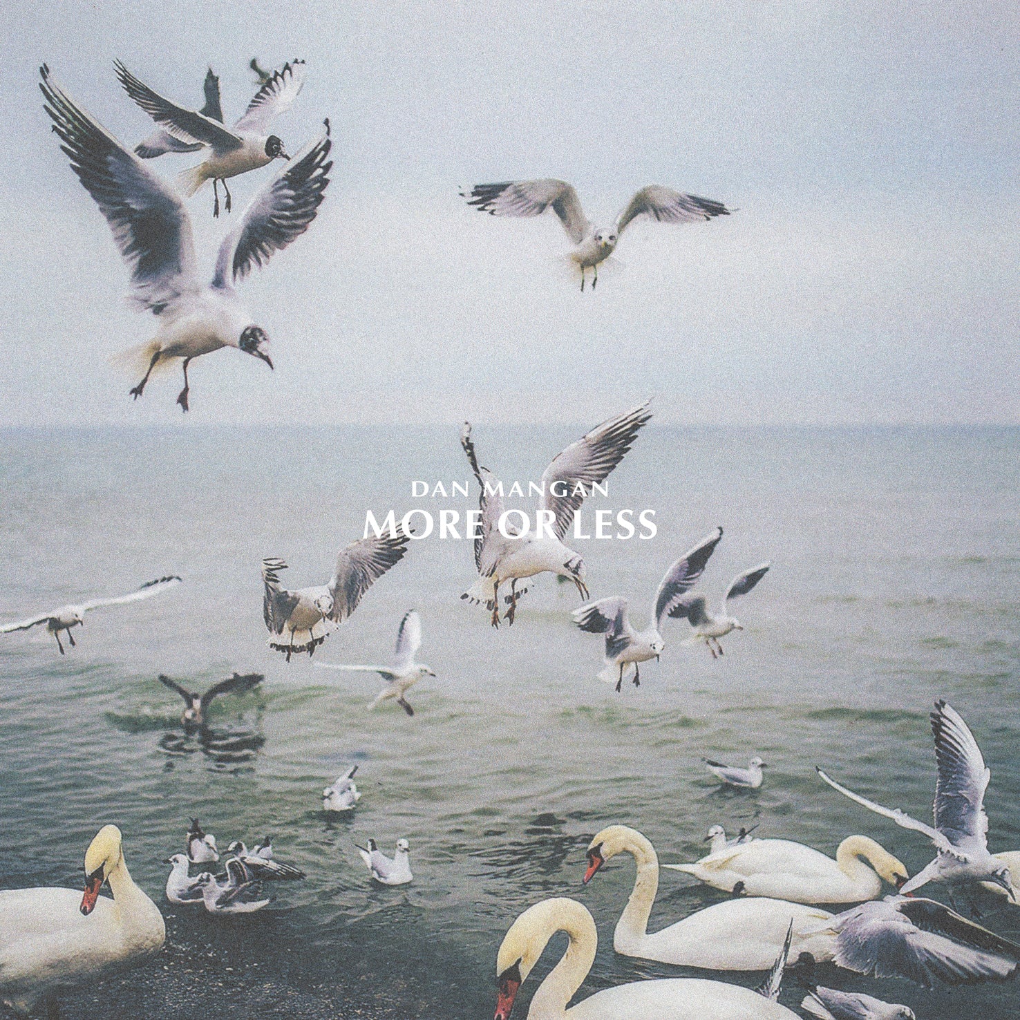 More or Less [LP] - Vinyl Record for Music Lovers | Perfect for Home Listening & Collectors