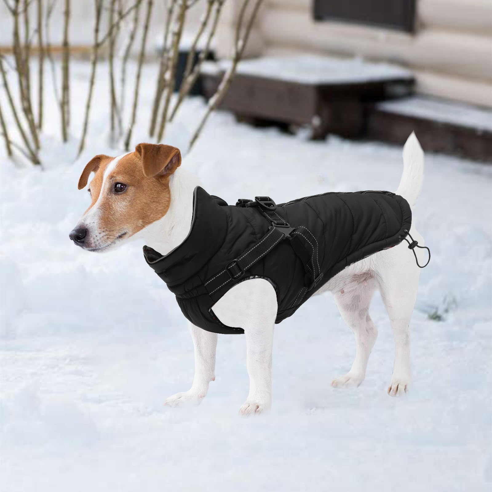 Waterproof & Padded Dog Coat with Harness - Warm Winter Jacket for Small & Medium Breeds - Halloween & Christmas Pet Apparel - Black - Small - Perfect for Outdoor Walks & Holiday Events