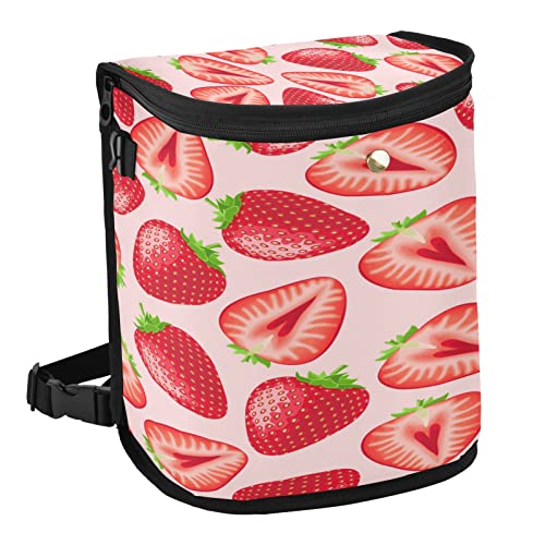 Red Strawberry