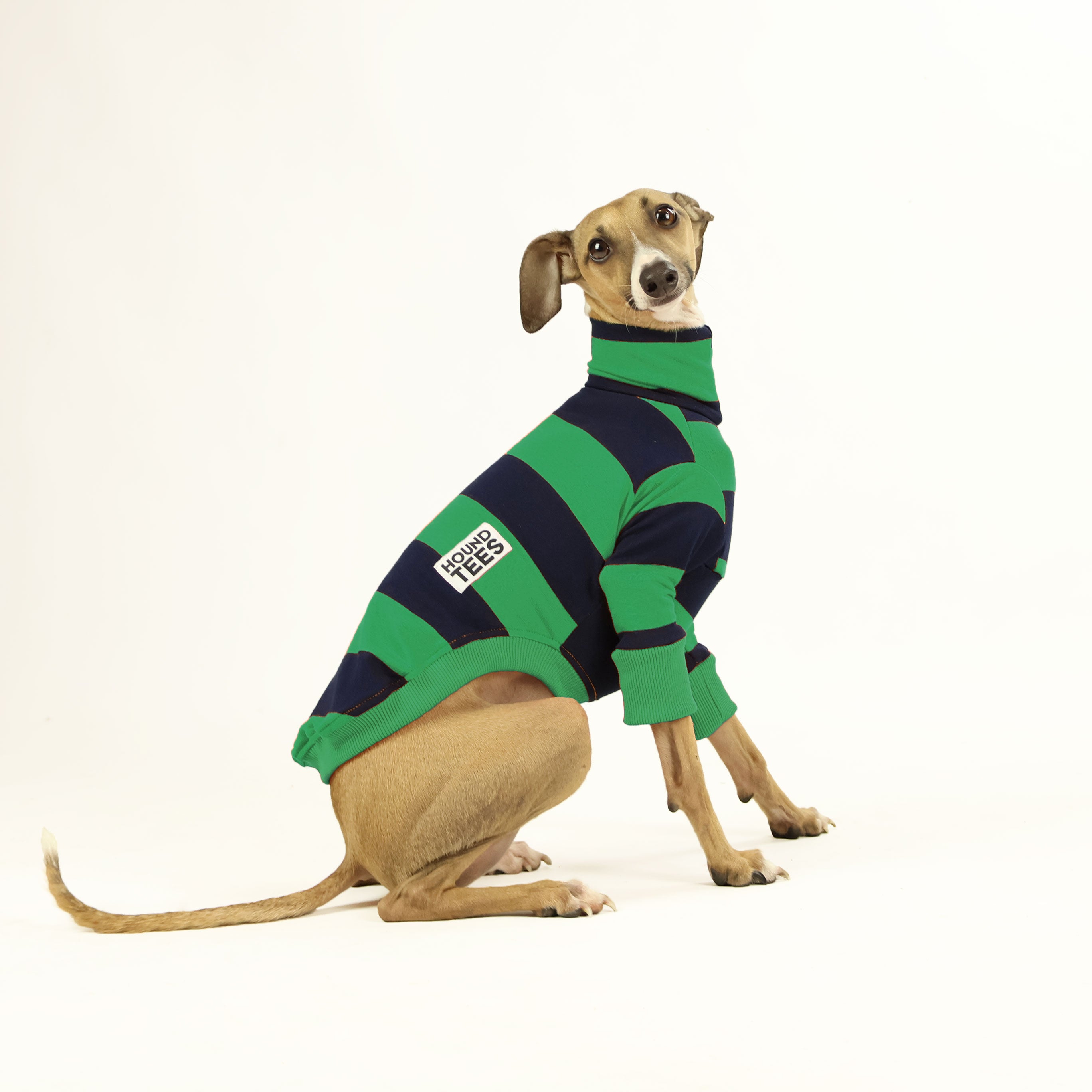 Italian Greyhound Green Rugby Long Sleeve Sweater - Cozy Knit Pullover for Dog Lovers, Perfect for Fall & Winter Outings, Dog Park Visits, and Casual Wear