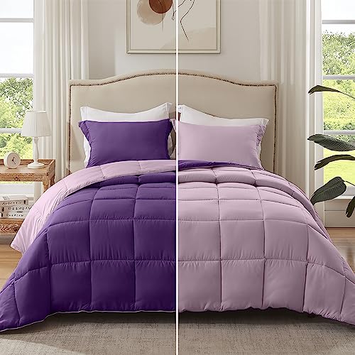 Plum/Light Purple