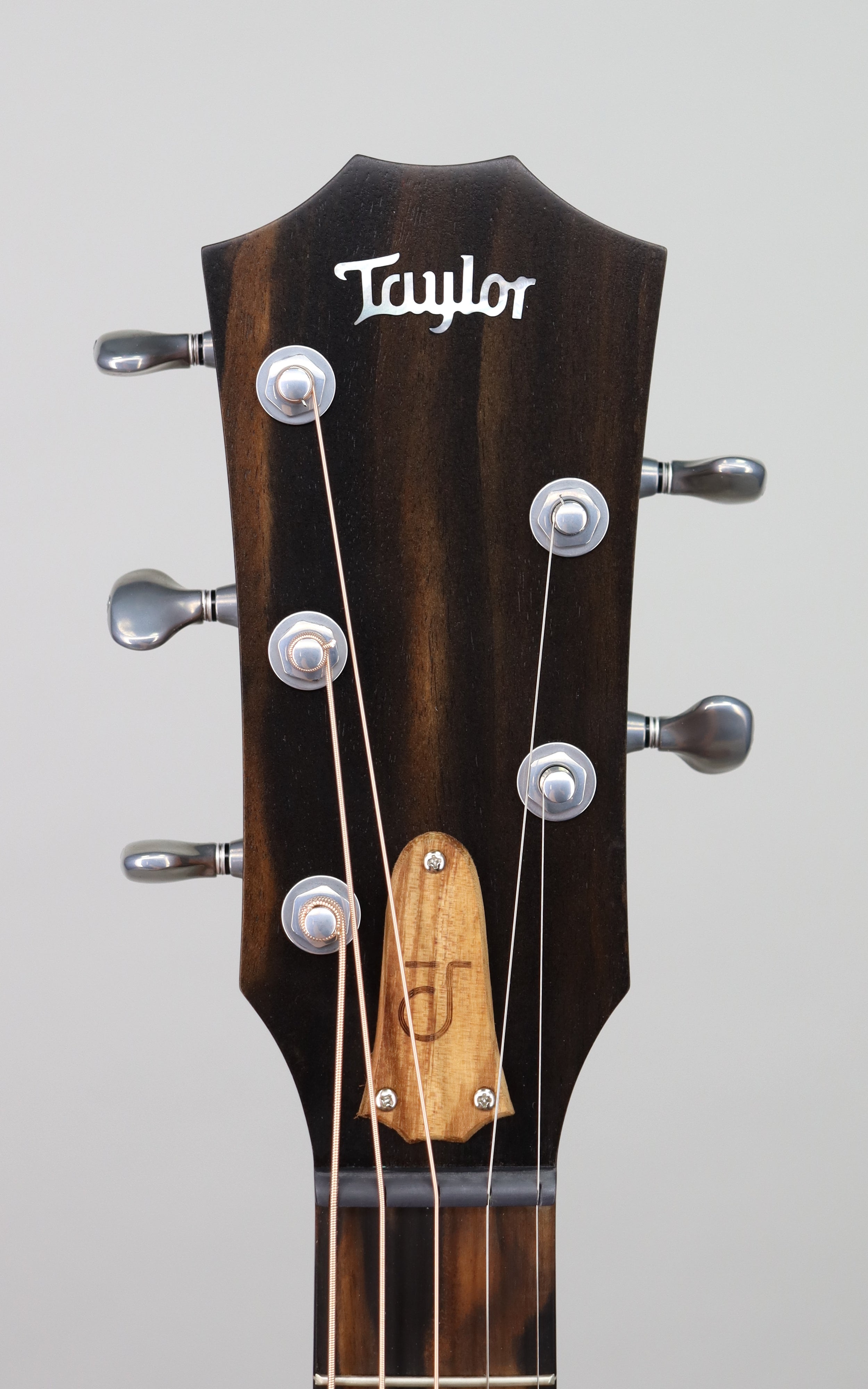 Taylor JCSM 5 Jacob Collier Signature Model 5-String Electric Bass Guitar - Perfect for Jazz, Studio Recording & Live Performances