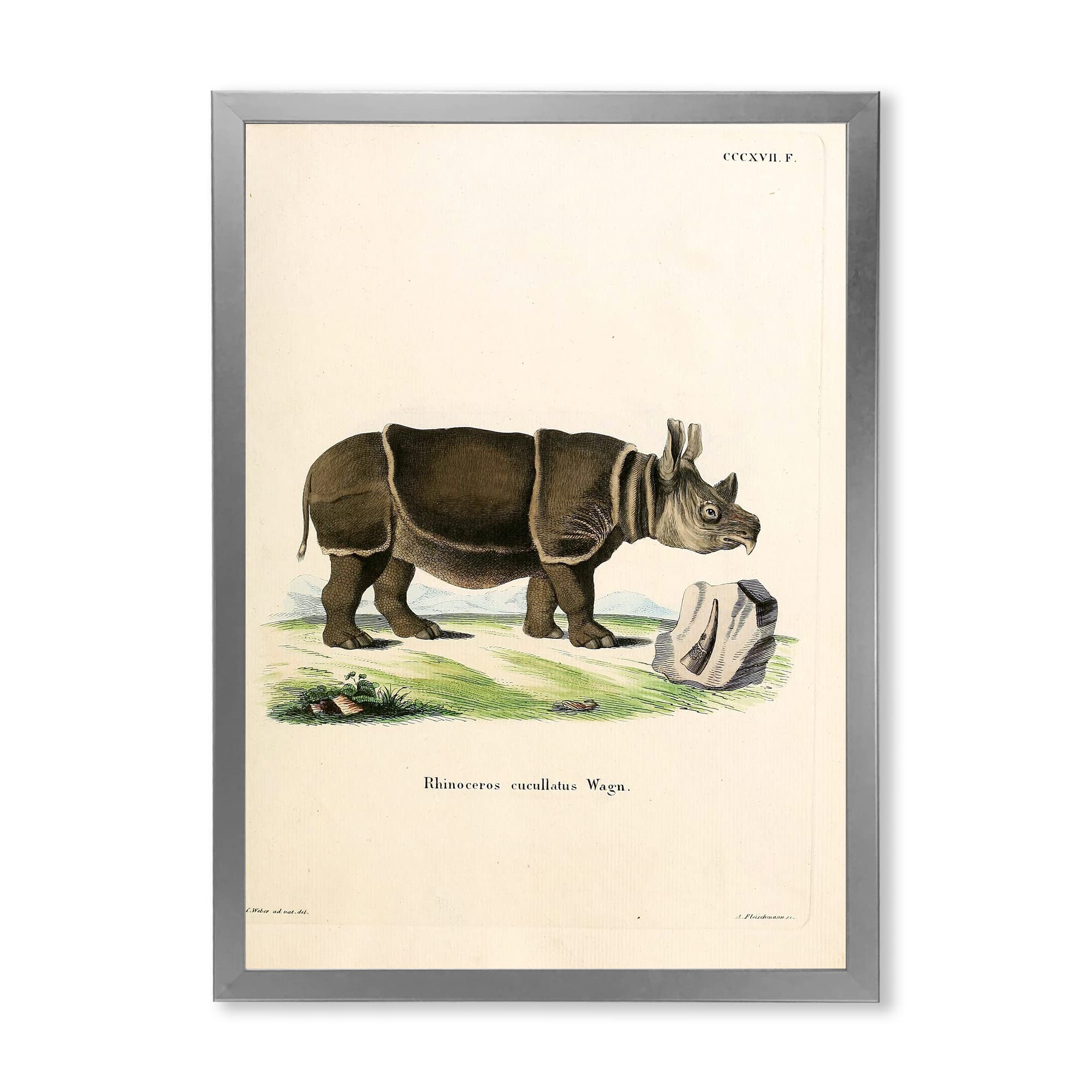 Vintage Rhinoceros Farmhouse Framed Wall Art - Rustic Home Decor for Living Room, Bedroom & Office - Handmade Canvas Painting for Country Style Interior Design
