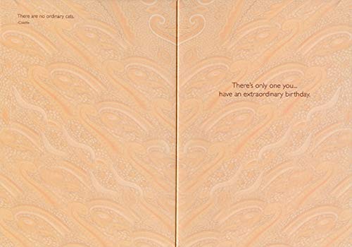 Pictura Cat on Orange Paisley Fabric Signature Gallery Birthday Card - Handmade Greeting Card for Cat Lovers, Perfect for Birthdays, Anniversaries & Special Occasions