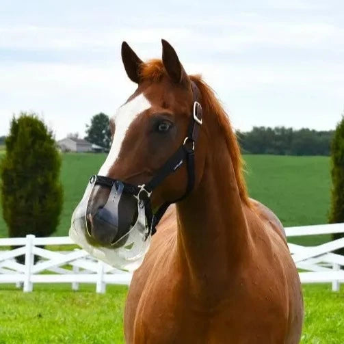 Thin Line Grazing Muzzle for Horses - Breathable Grazing Control Mask with Adjustable Strap - Perfect for Pasture, Training, and Weight Management