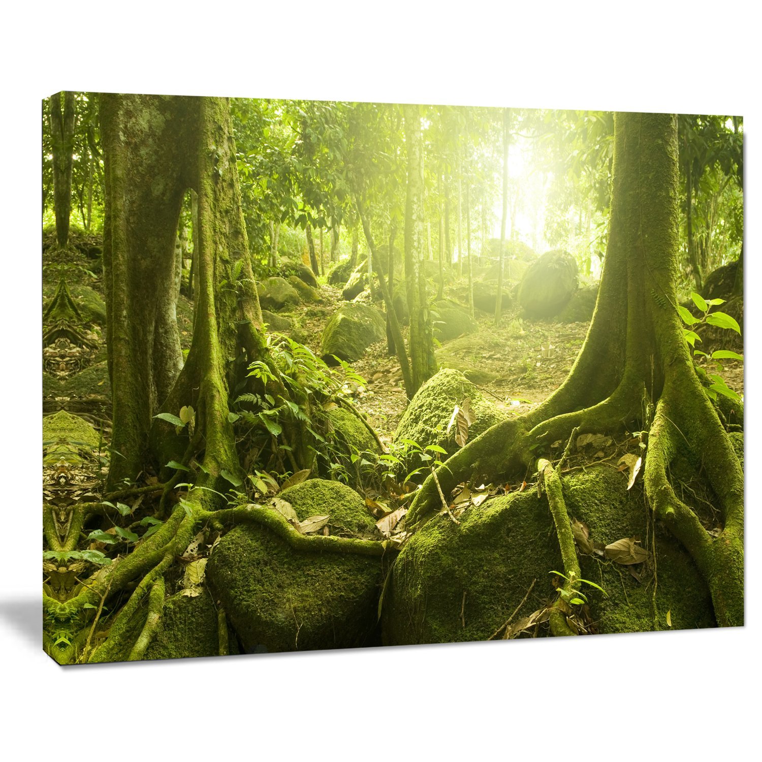 Green Forest with Sun Landscape Photography Canvas Print - Nature Wall Art for Living Room, Bedroom & Office Decor