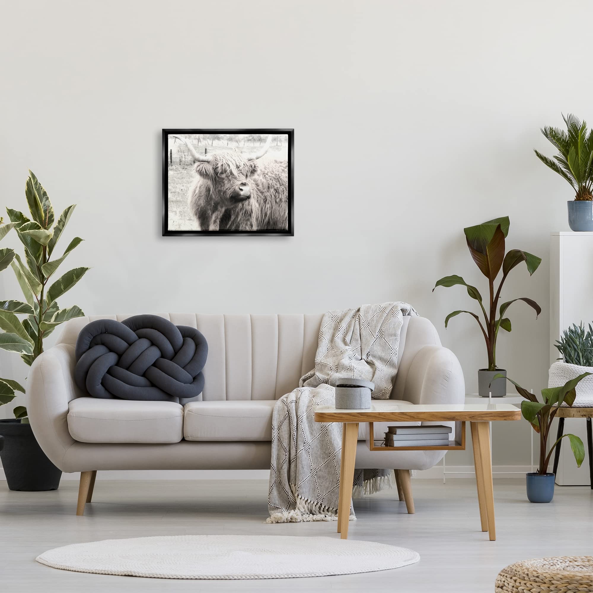Stupell Industries Rustic Farm Highland Cattle Cow Black & White Wall Art - Graffitee Studios Photography - Perfect for Farmhouse Decor, Living Room & Country Style Homes