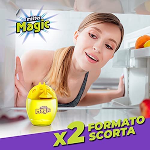 Natural Lemon Egg Odor Absorber for Refrigerator – Long Lasting 3 Months, Pack of 2 – Eliminate Fridge Smells & Keep Food Fresh
