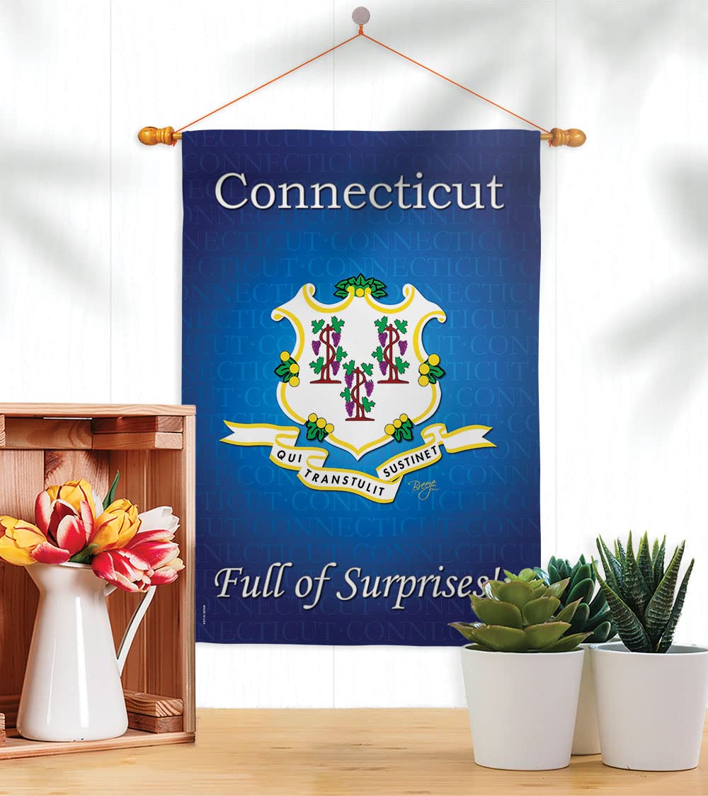 Connecticut Americana House Flag Set 28x40