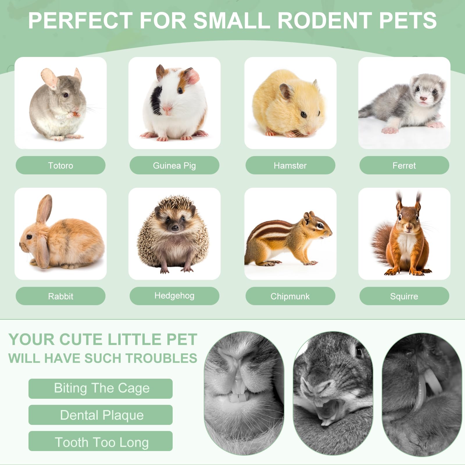 MQFORU Guinea Pig Chew Toys for Rabbits, Hamsters, Chinchillas & Rats - Hanging Cage Toys with Food-Grade Safe Materials & Dyes - Perfect for Small Pet Dental Health & Playtime Enrichment