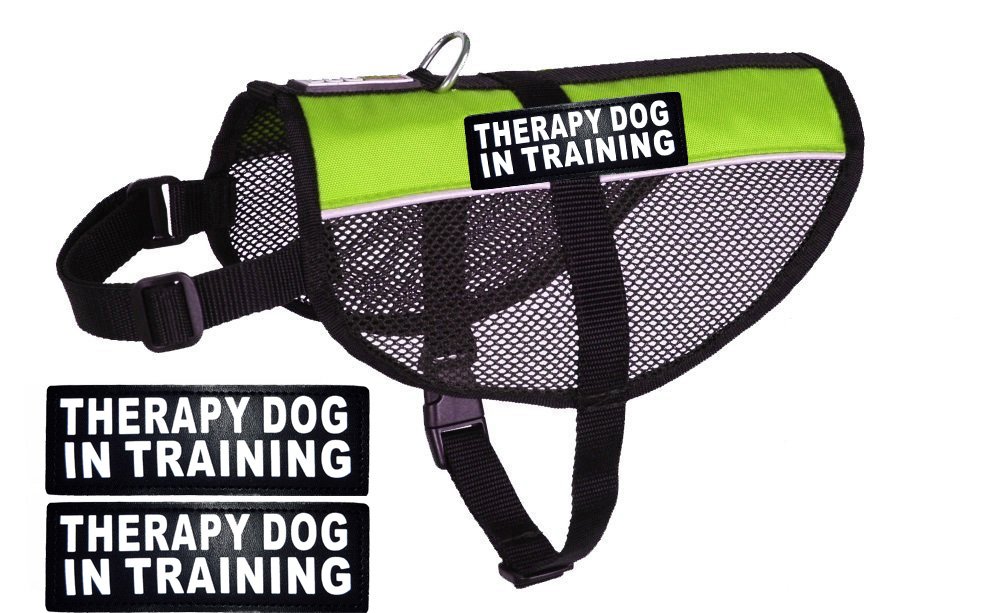 **Therapy Dog Mesh Vest Harness - Breathable Nylon Cooling Comfort for Small Dogs (8-10