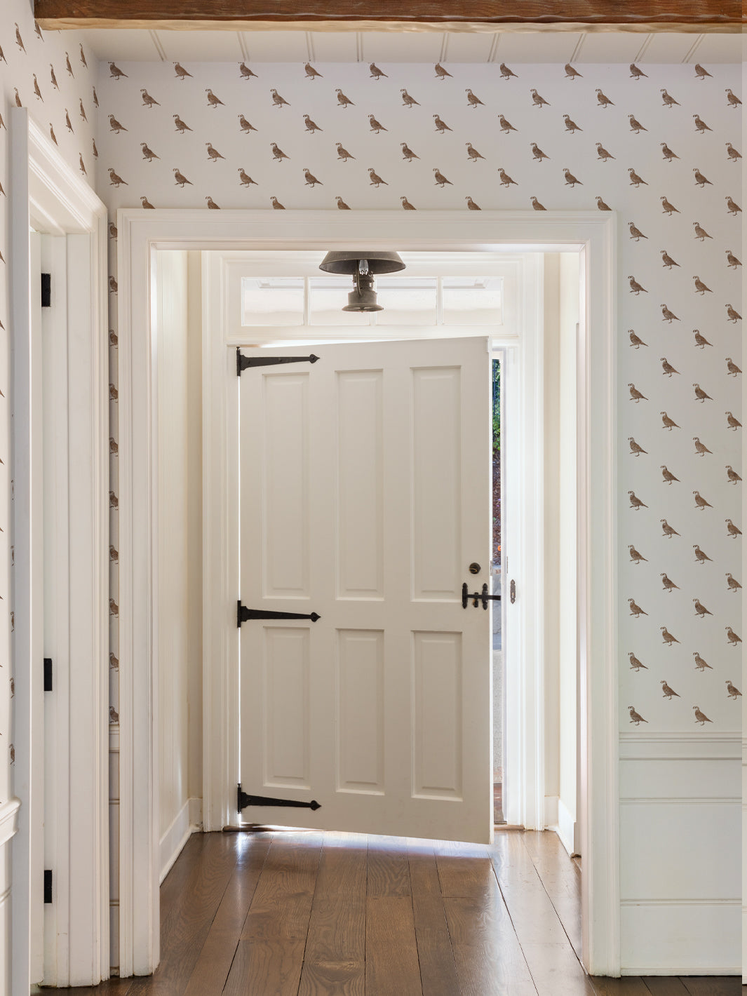 California Quail Grasscloth Wallpaper by Nathan Turner - Brown Nature-Inspired Textured Wall Covering for Living Room, Bedroom & Home Office Decor