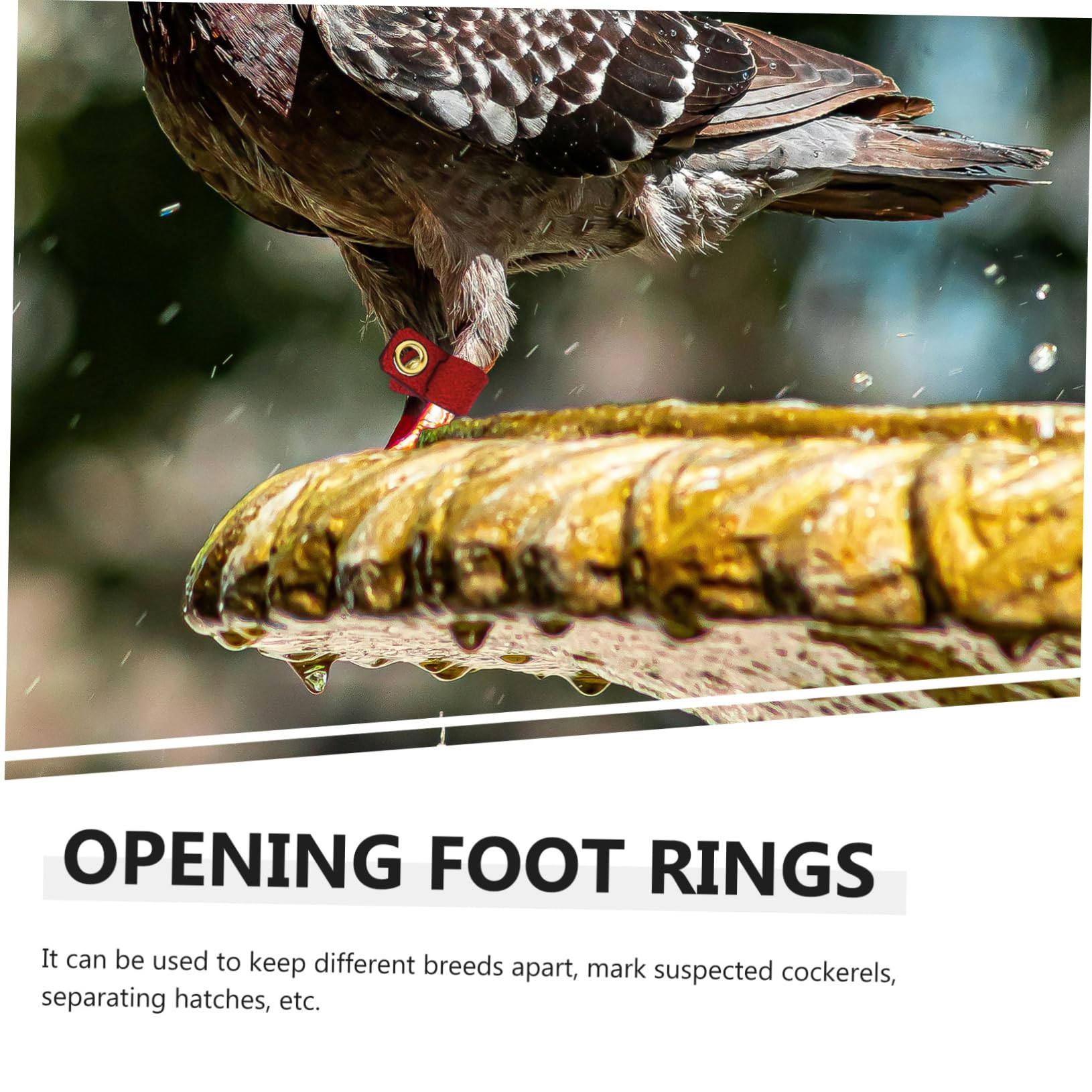 Balacoo 4 Sets Bird Ankle Rings - Adjustable Parrot Leg Bands, Chicken Foot Protectors for Doves, Finches & Pigeons - Suede Snap Button Design for Safe & Comfortable Use in Coops, Aviaries & Veterinary Care