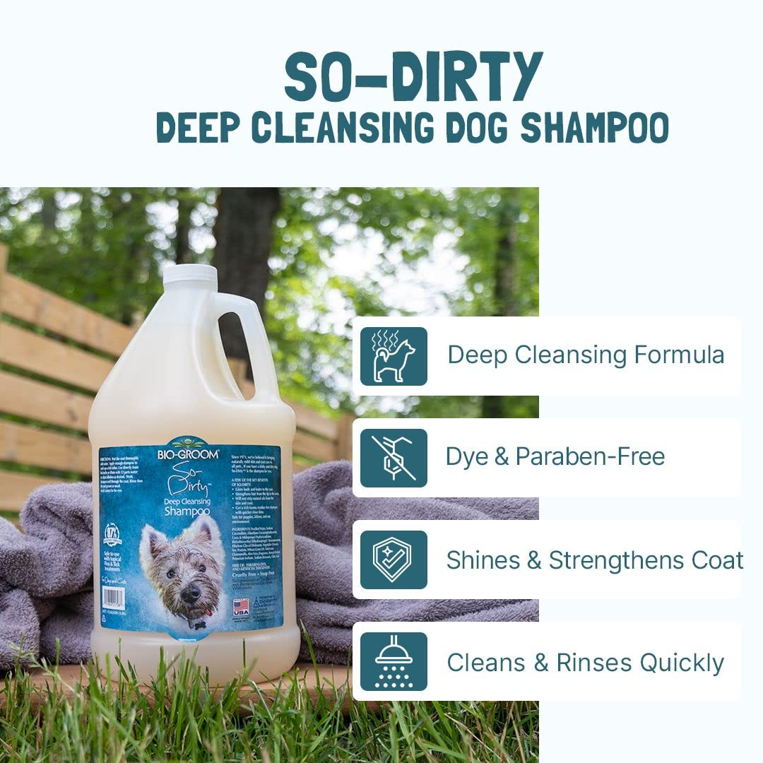 Bio-Groom So-Dirty Dog Shampoo - Quick Rinse Pet Shampoo for Smelly Dogs | Cruelty-Free, Made in USA | 5 Gallon Bulk Dog Bathing & Grooming Supplies | Perfect for Professional Groomers, Kennels & Dirty Dogs After Outdoor Adventures