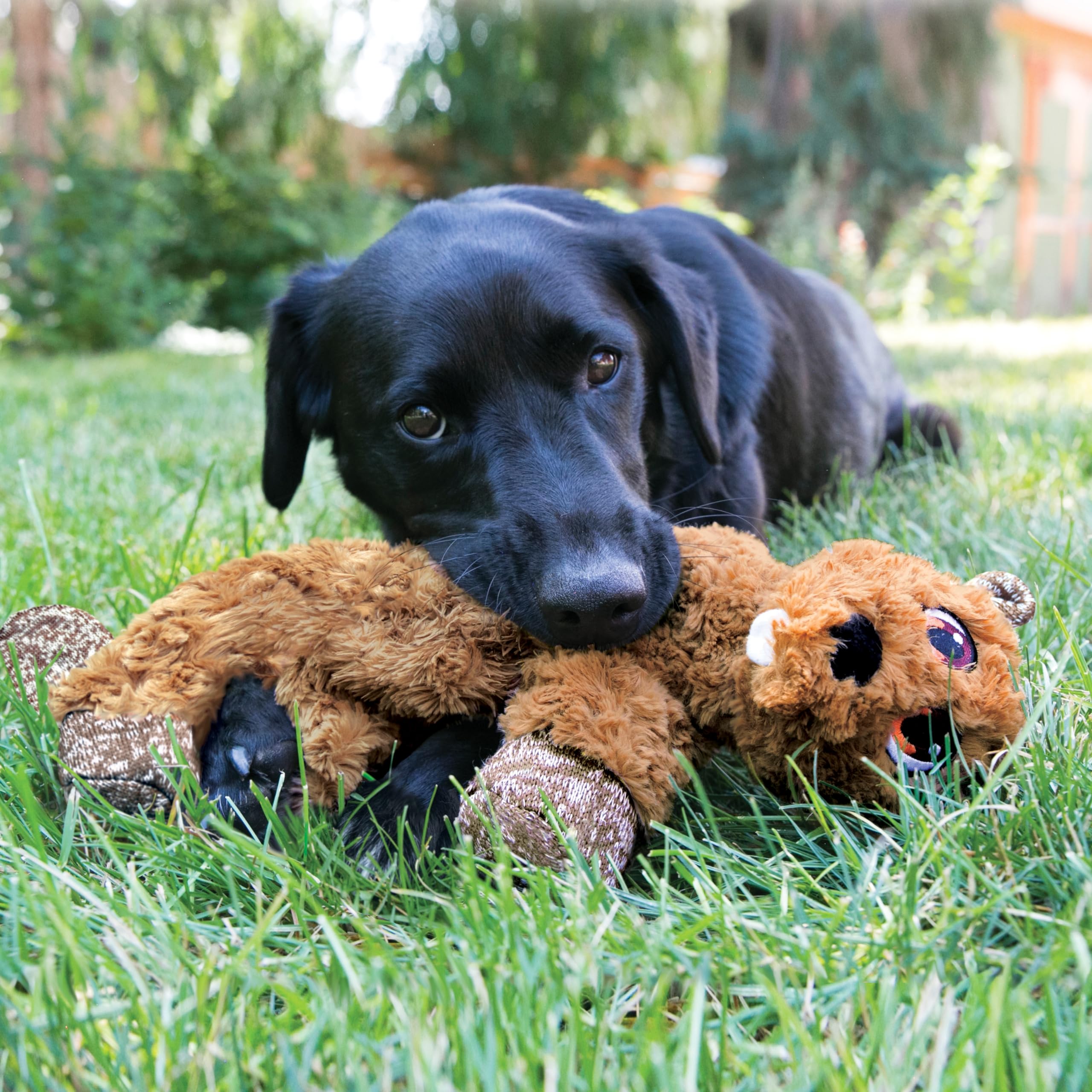 KONG Low Stuff Flopzie Beaver Medium Dog Chew Toy - Durable Rubber Chew for Aggressive Chewers, Interactive Play & Dental Health - Perfect for Indoor & Outdoor Fetch, Training, and Teething Puppies