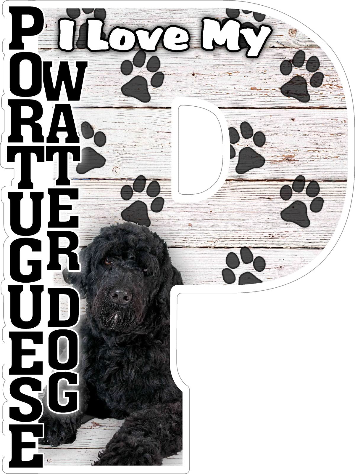 Portuguese Water Dog Fridge Magnet - Cute Dog Lover Gift for Kitchen & Office Decor - Perfect for Refrigerators, Lockers, and Whiteboards