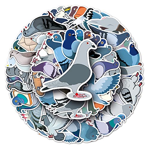 Pigeon