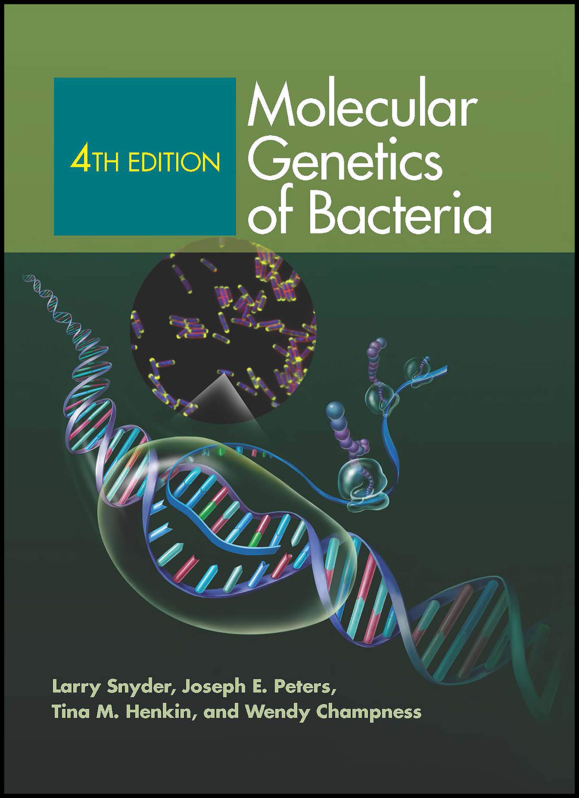 Molecular Genetics of Bacteria, 4th Edition - ASM Books | Essential Textbook for Microbiology Students & Researchers | Perfect for Lab Studies & Academic Research