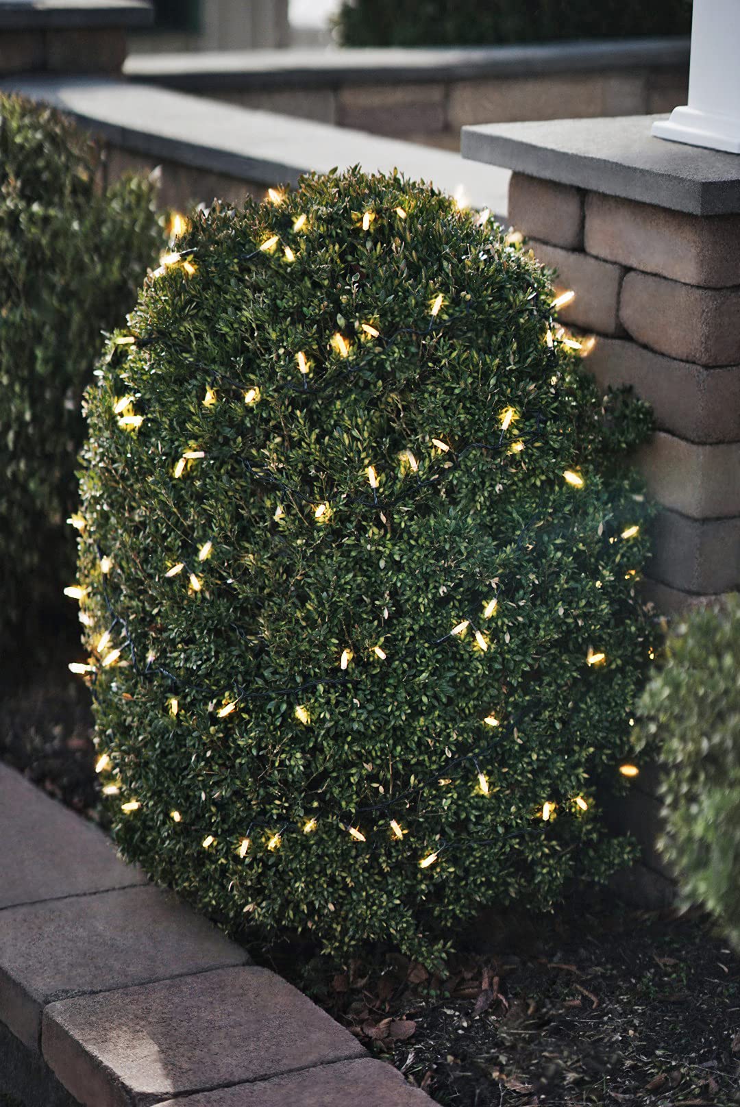 PRODUCTWORKS White 19890 Brilliant Mini LED 150 Lights - Perfect for Christmas Trees, Home Decor, and Party Lighting