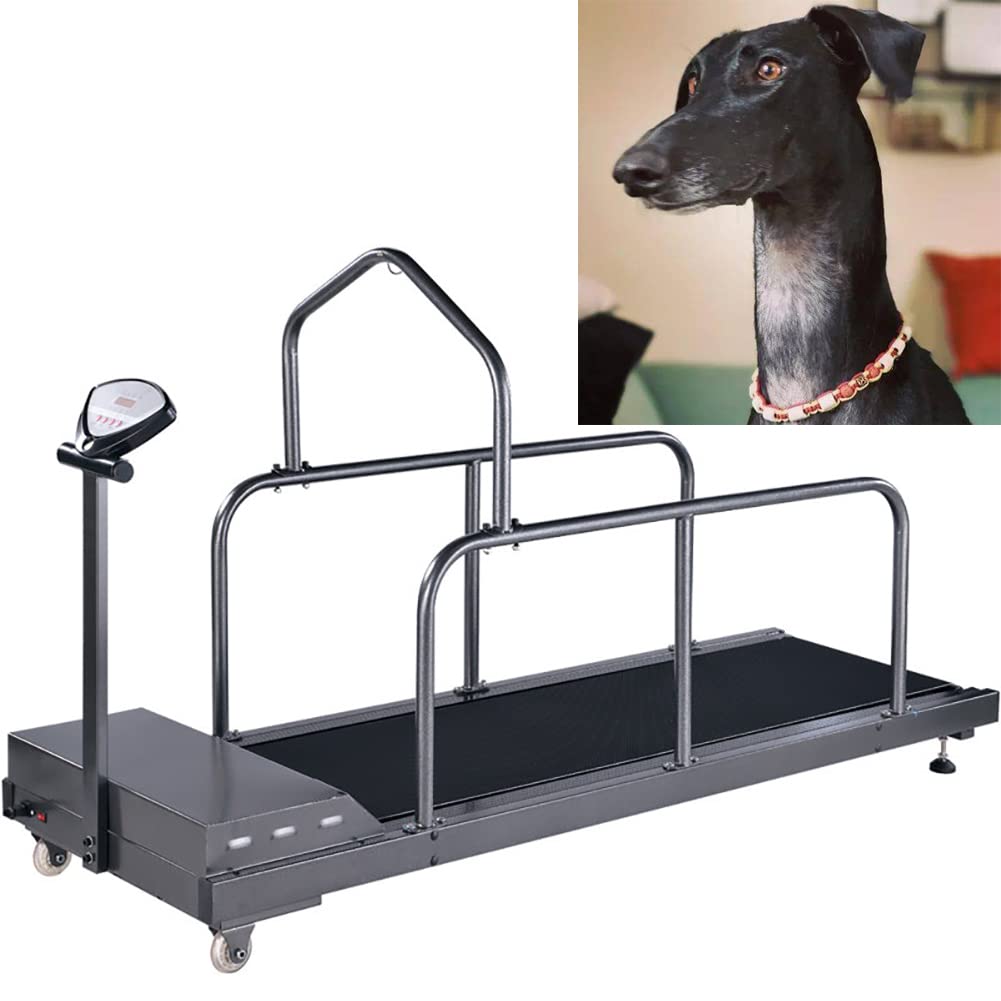 Dog Treadmill for Large Pets - 200 LBS Capacity - Indoor Dog Exercise Machine for Home Training