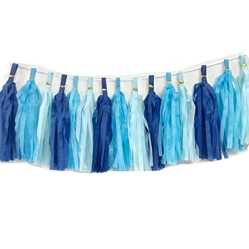 Blue Pack 30pcs