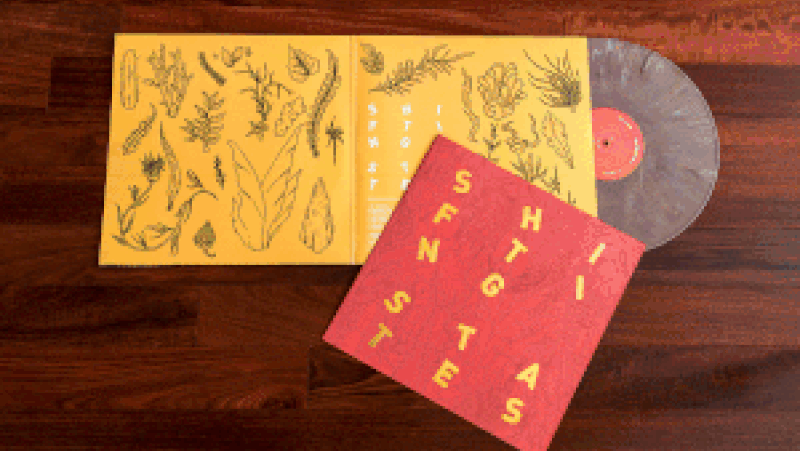 Vol. 009: Shifting States - Transformative Art Book for Home Decor & Creative Inspiration | Perfect for Art Lovers, Interior Design & Gift Giving