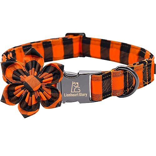 Orange and Black Plaid