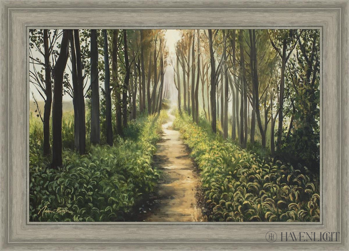 Forest Walkway - Beautiful Wooden Pathway for Gardens, Parks & Trails | Perfect for Outdoor Decor & Nature Walks