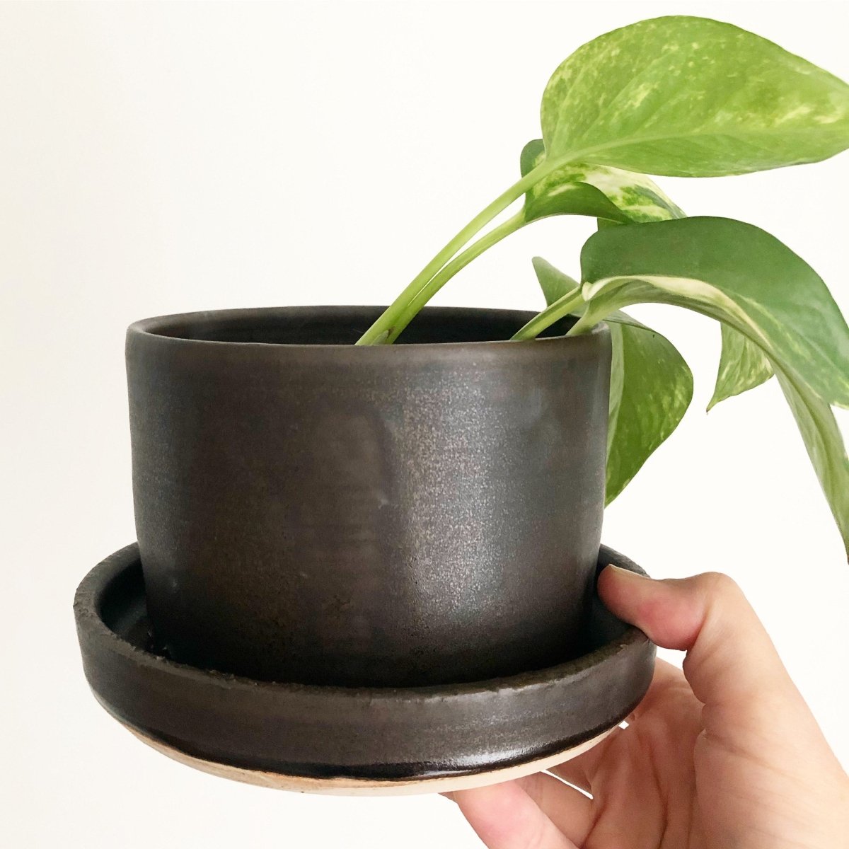 Ceramic Plant Pot with Drainage Hole - Indoor Outdoor Flower Planter for Succulents, Herbs, and Houseplants - Perfect for Home, Garden, and Office Decor