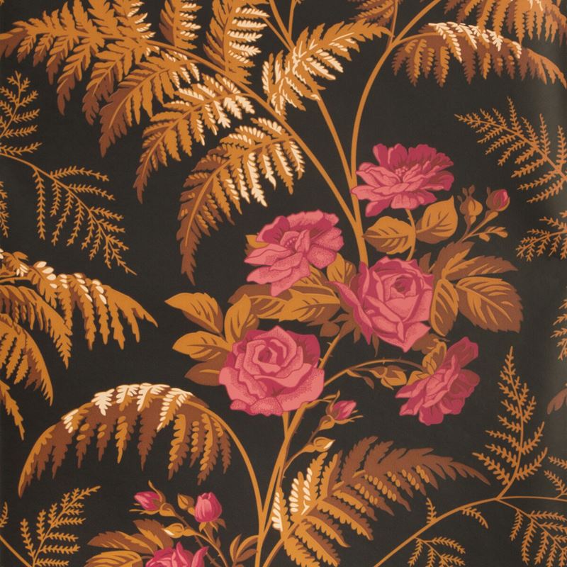Cole & Son Wallpaper - Rose, Cerise B Orange Black Print Floral Wallpaper for Living Room, Bedroom & Dining Room Decor