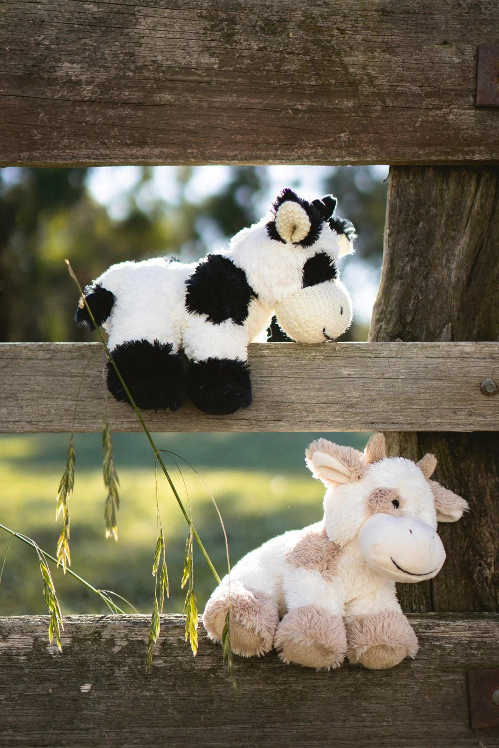 Premium Dairy Cow Figurine Set - Realistic Farm Animal Collectibles for Home Decor, Kids Play & Educational Scenes - Perfect for Farmhouse Display, Classroom Learning & Birthday Gifts