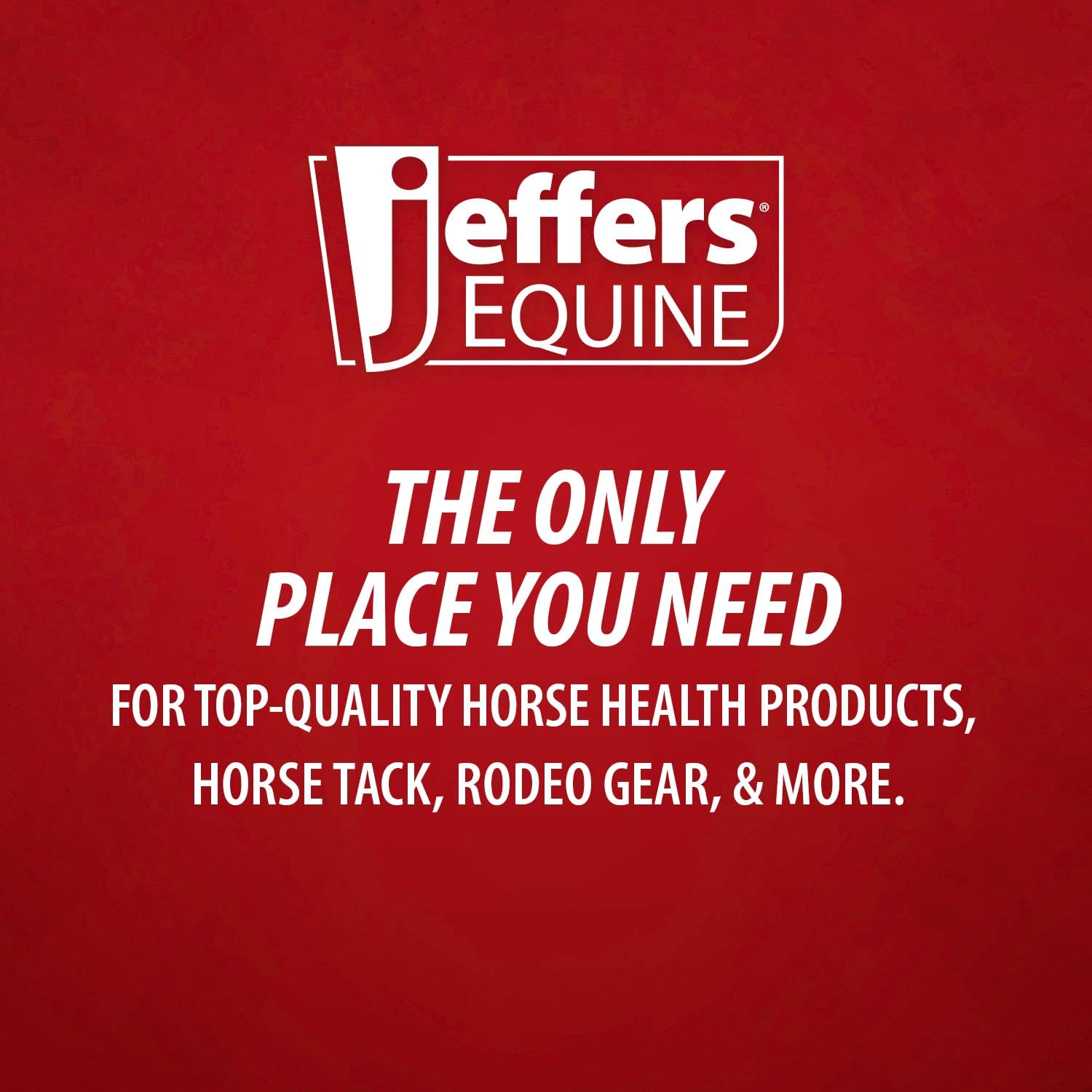 Jeffers Horse Sheath Cleaner - 16 oz Gentle Cleaning Solution for Equine Hygiene | Perfect for Grooming, Show Prep & Daily Horse Care