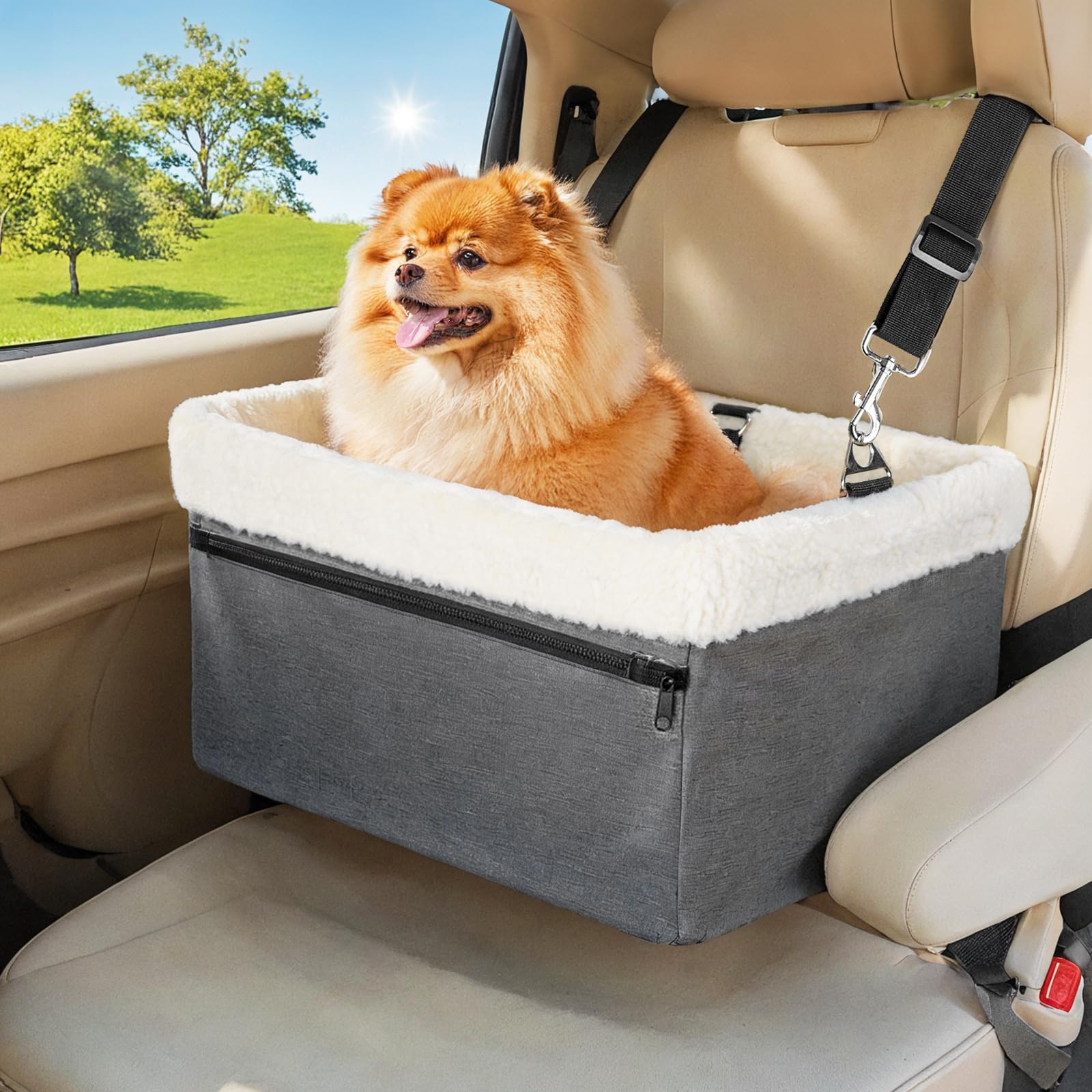Premium Small Dog Car Booster Seat with Sturdy Metal Frame - Safe & Comfortable Pet Travel Solution for Puppies, Cats & Small Pets - Perfect for Road Trips, Vet Visits & Daily Commutes