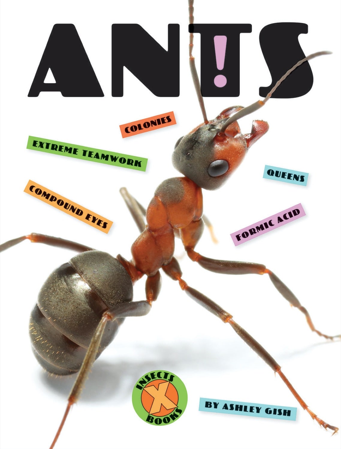 Ants: A Comprehensive Guide - ISBN 9781608189878 | Perfect for Nature Enthusiasts & Science Research