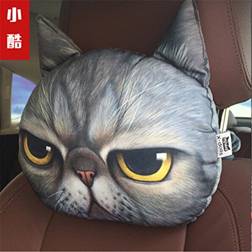 Cat F Typ