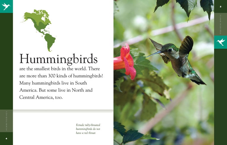Amazing Animals (2014): Hummingbirds - Nature Documentary Film | Wildlife, Birds, Nature Exploration | Perfect for Bird Lovers & Educational Screenings