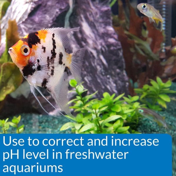 API pH Up - Premium pH Increaser for Aquariums & Hydroponics | Ideal for Fish Tanks, Pools & Water Treatment