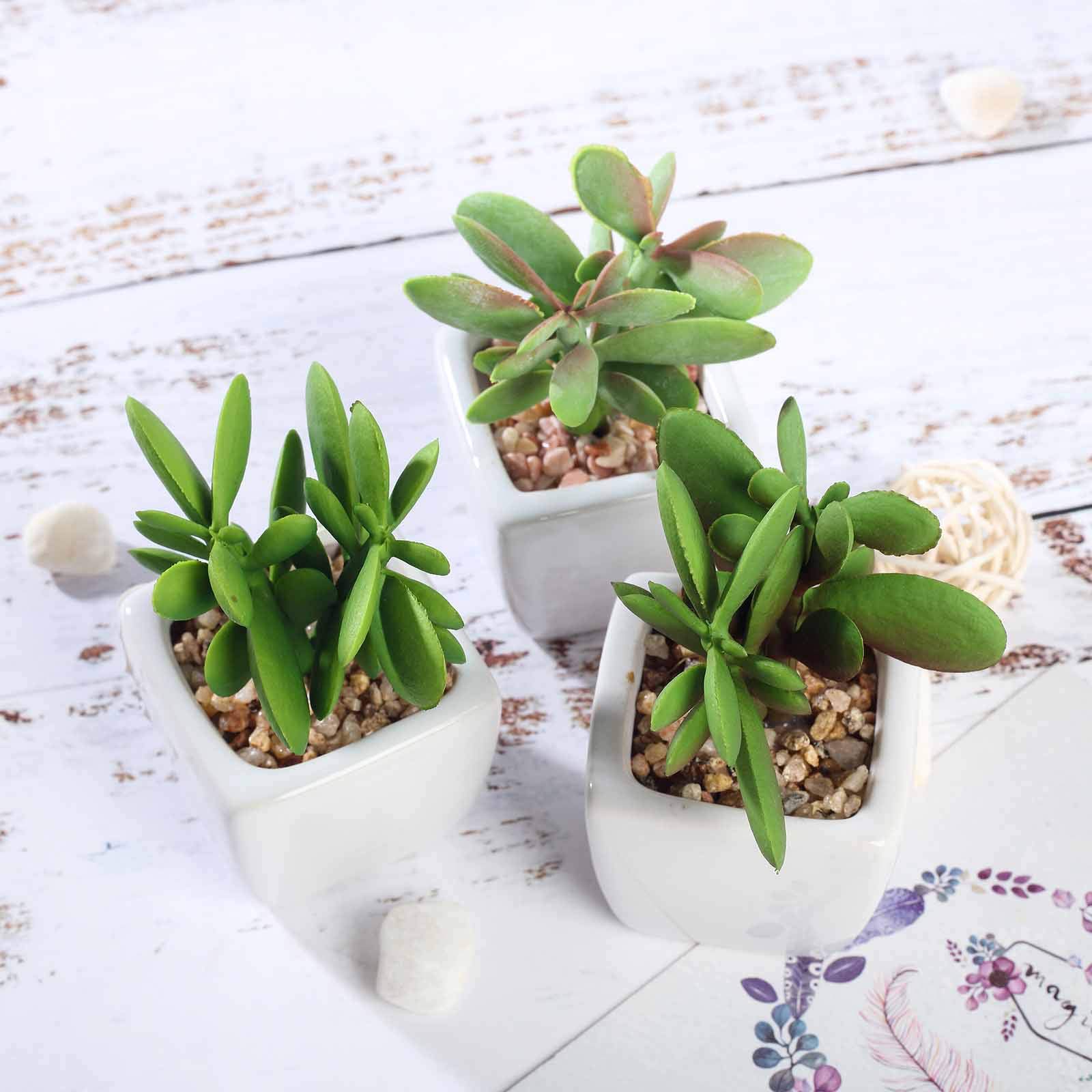 Artificial Succulent Plants Set of 3 - Mini Fake Jade Succulents in Ceramic Pots for Home Office Desk Decor, Wedding Centerpieces & Shelf Displays