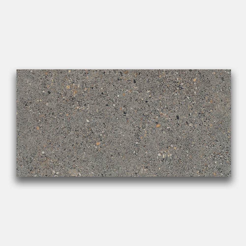 Atlanta Dark Grey 300x600mm Matte Porcelain Tile - Premium Floor & Wall Tile for Bathroom, Kitchen & Living Room