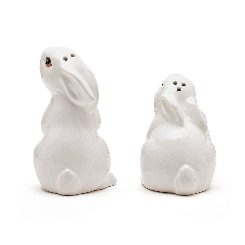 Fitz & Floyd Meadow Salt and Pepper Shaker Set - Brown Ceramic Spice Dispenser for Kitchen & Dining Table Decor