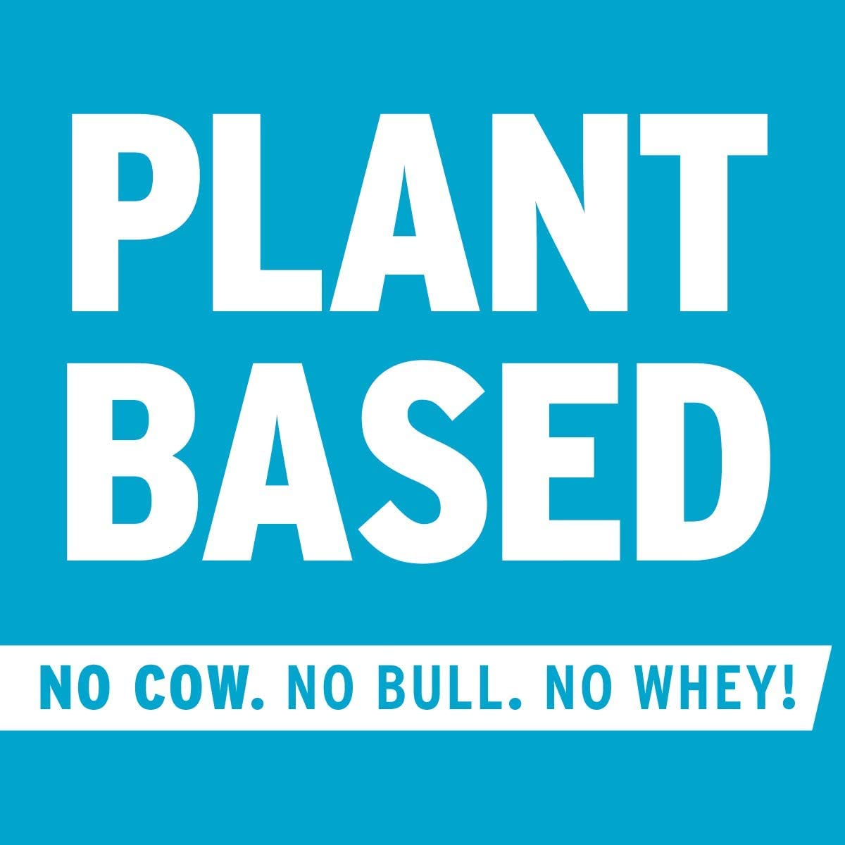 No Cow Vegan Protein Powder - Vanilla Flavor, 21g Plant-Based Protein | Dairy Free, Soy Free, Sugar Free, Keto & Gluten Free | Non-GMO, Kosher Certified | 1.74lb Recyclable Bag | Perfect for Post-Workout Recovery & Healthy Smoothies
